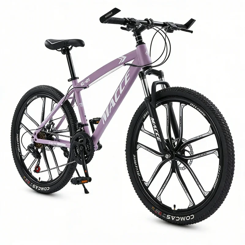 Purple 10-Speed High-End Mount - Cycling Gear Inches review and price