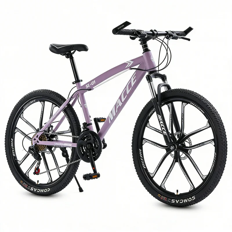 Purple 10-Speed High-End Mount - Cycling Gear Inches review and price